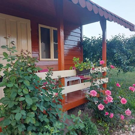 Pensiunea Raluca مهموديا المظهر الخارجي الصورة
